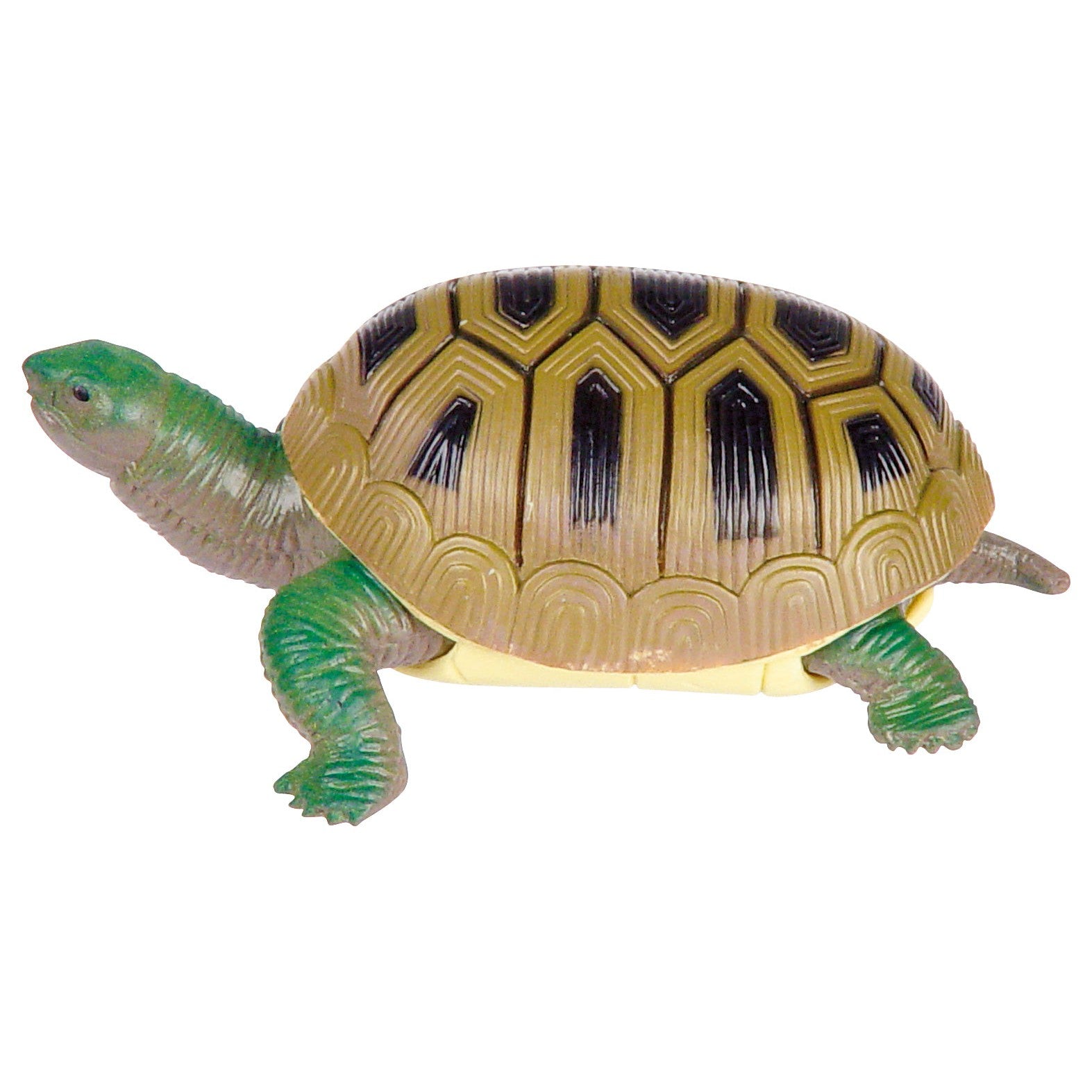 Toysmith Turtle Squishimals